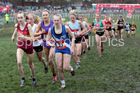 Senior girls 2019 New Balance English Schools Cross Country Champs, Temple Newsam, Leeds. Photo:  David T. Hewitson/Sports for All Pics